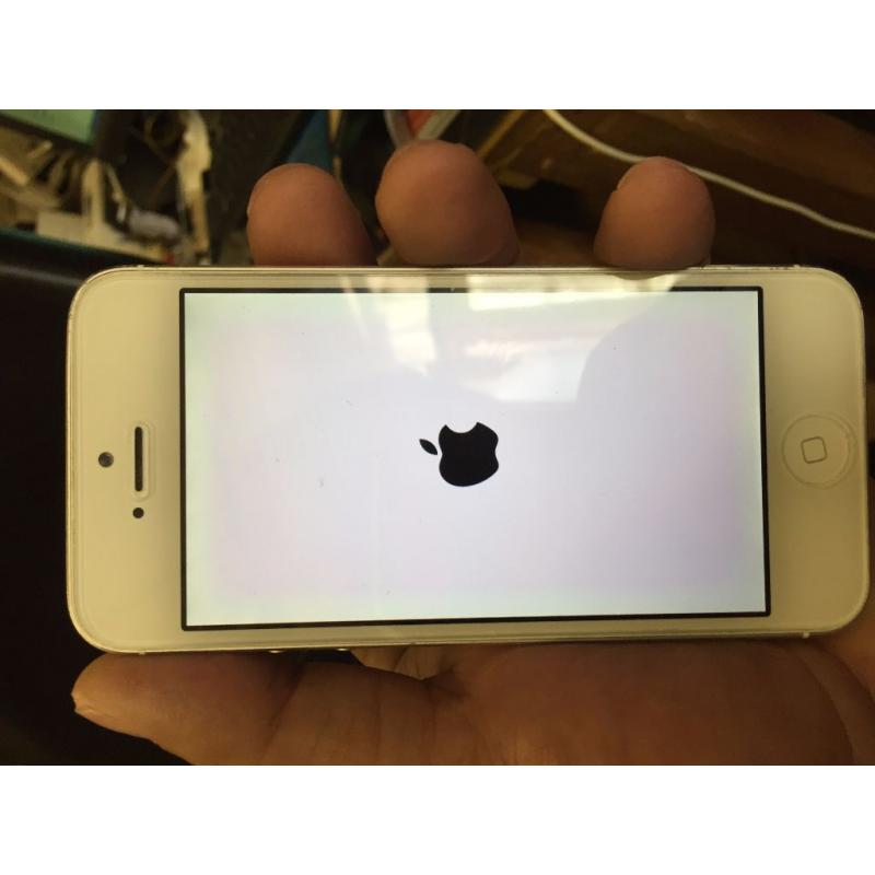 Iphone 5,Unlocked,64GB,White Colour,Mint Condition,With Warranty