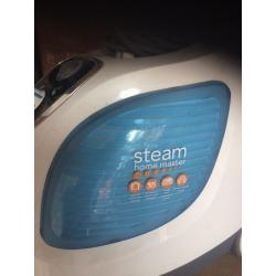 Steam cleaner