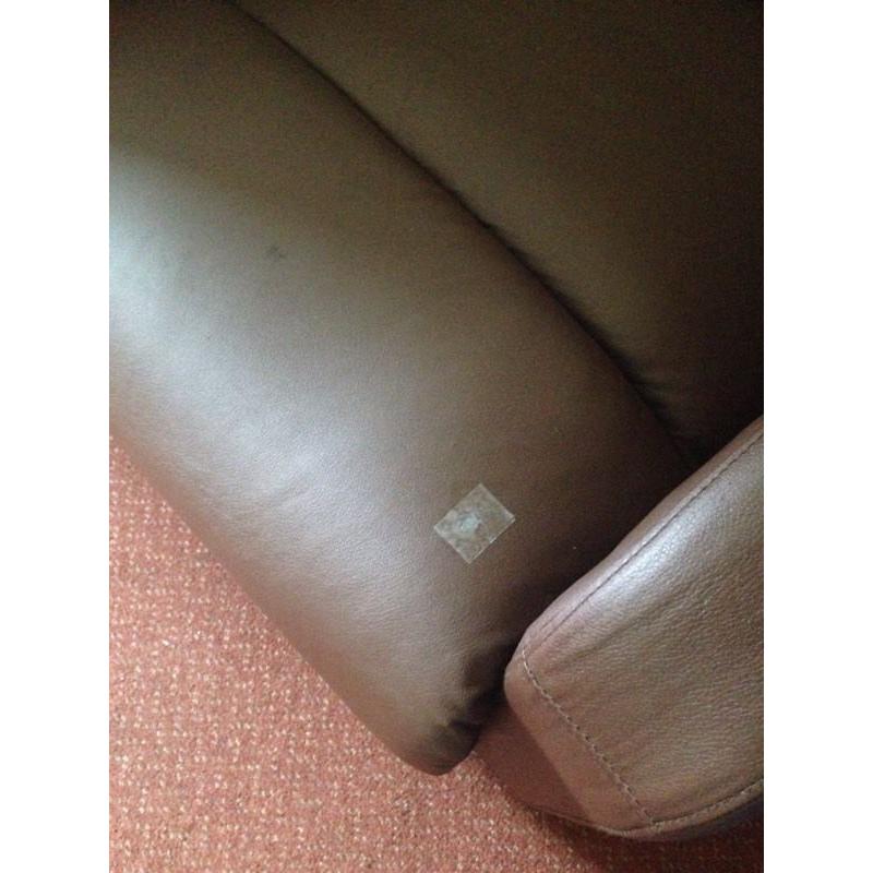 Sofa (negotiable price )