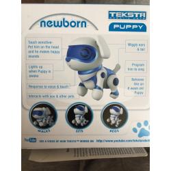 Teksta newborn puppy