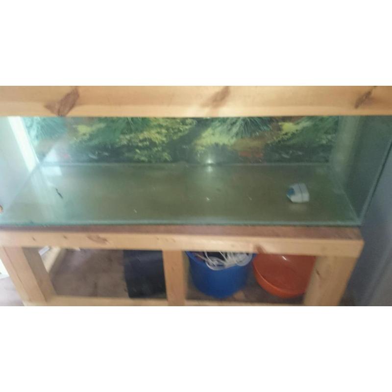 4 ft fish tank