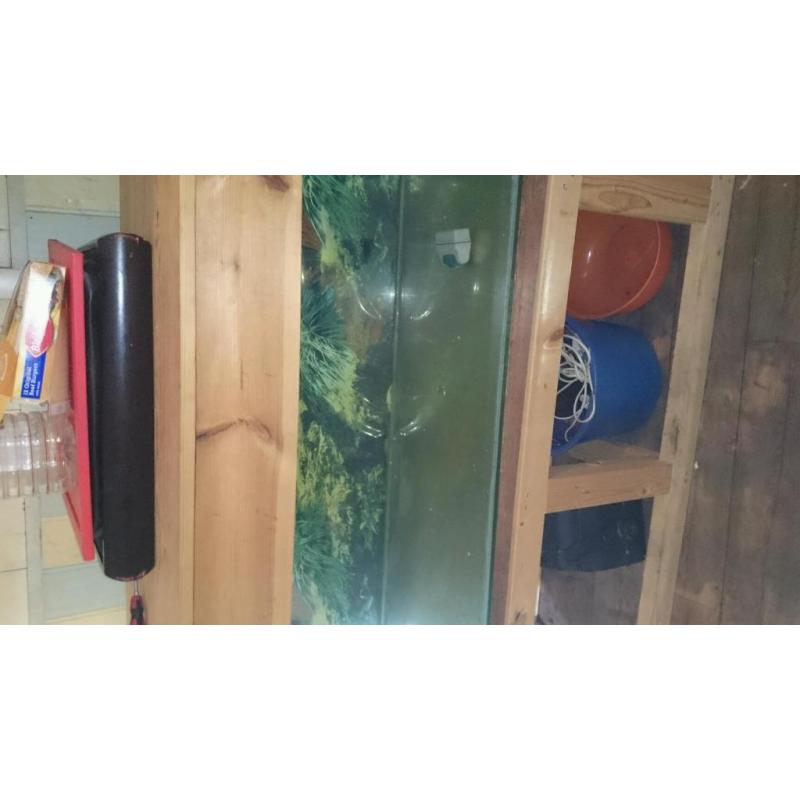 4 ft fish tank