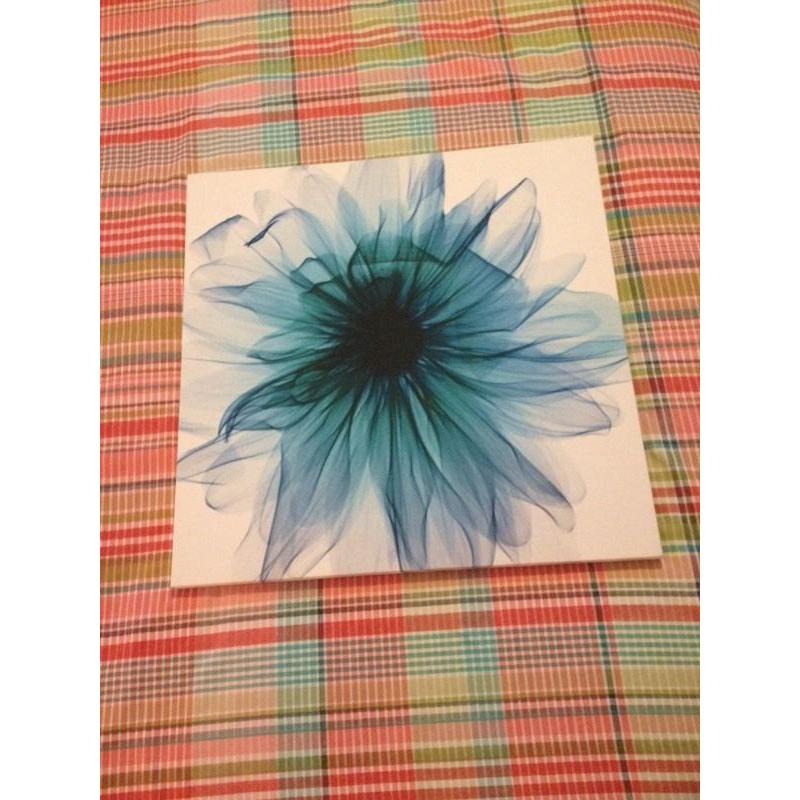 Teal and white floral canvas style picture