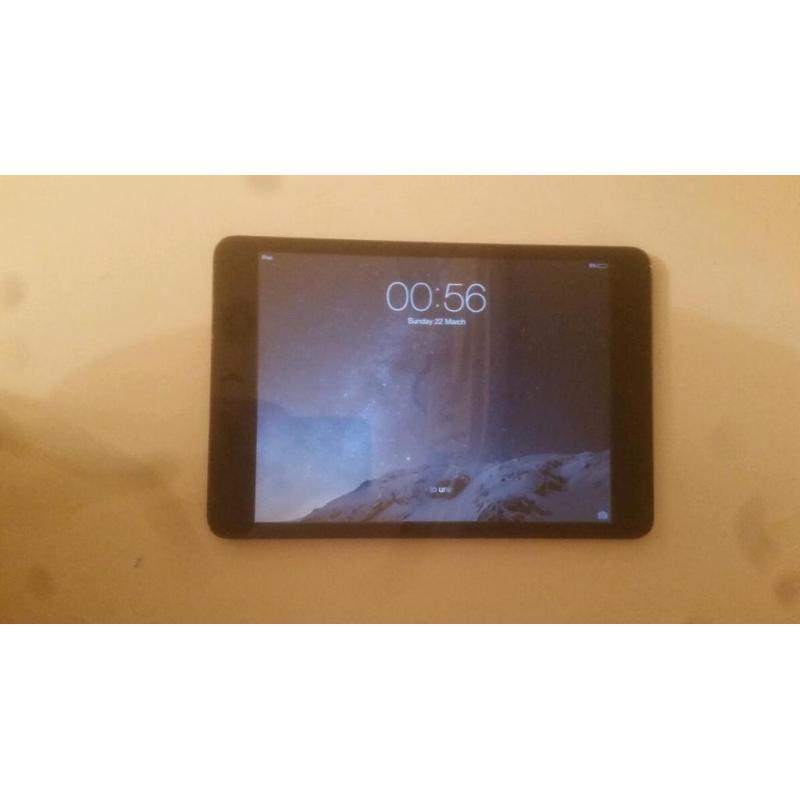 Apple black iPad mini