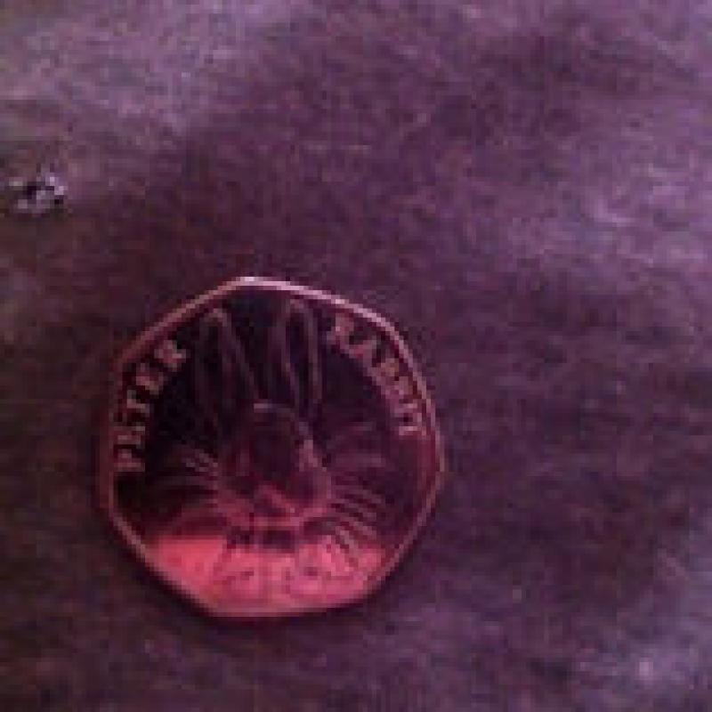 Peter rabbit 50p coin