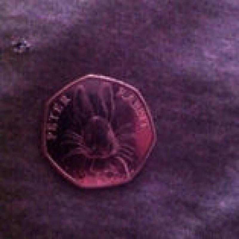 Peter rabbit 50p coin