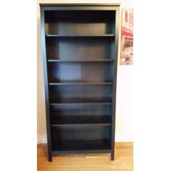 Large IKEA Bookcase/Storage Unit