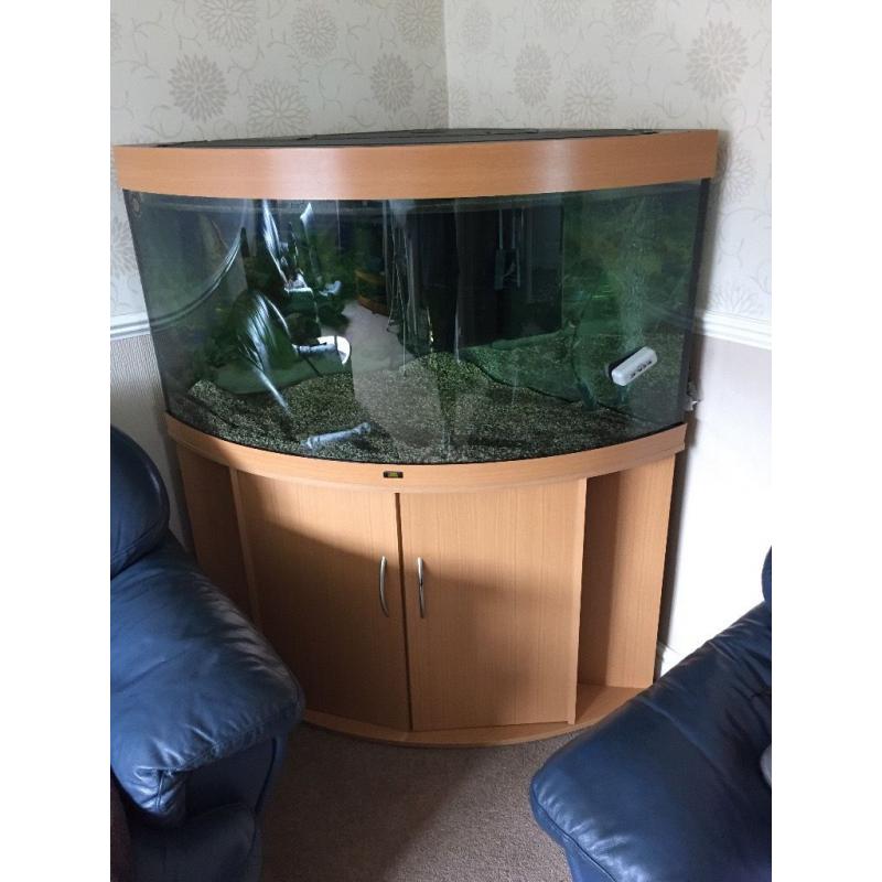 Trigon 350 fish tank