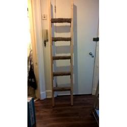 Bunk Bed Ladder (Homemade)