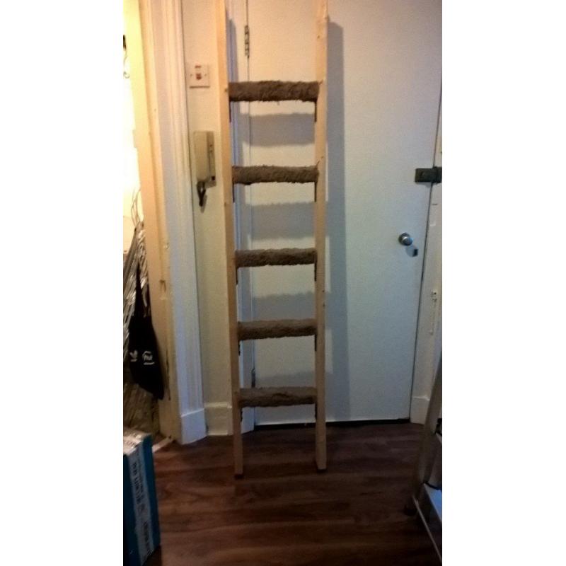 Bunk Bed Ladder (Homemade)