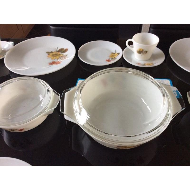 Vintage retro 27 piece set 1960(Autumn glory)