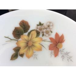 Vintage retro 27 piece set 1960(Autumn glory)