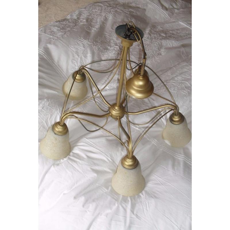 Stunning Traditional centre Chandelier light for Lounge or Hallway