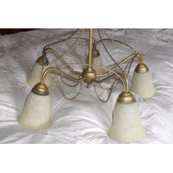 Stunning Traditional centre Chandelier light for Lounge or Hallway