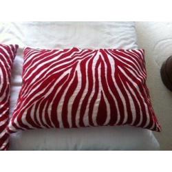 2 red zebra print cushions and red rectangle cushion