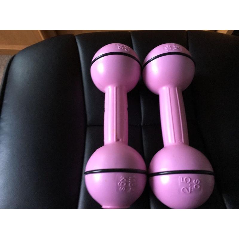 DUMBBELLS 2.5lbs (1.13KGS)