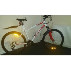 B twin mountain bike