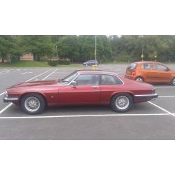 JAGUAR XJS 4.O Ltr very clean MOT new brakes calliper serviced stunning car