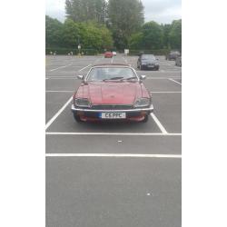 JAGUAR XJS 4.O Ltr very clean MOT new brakes calliper serviced stunning car