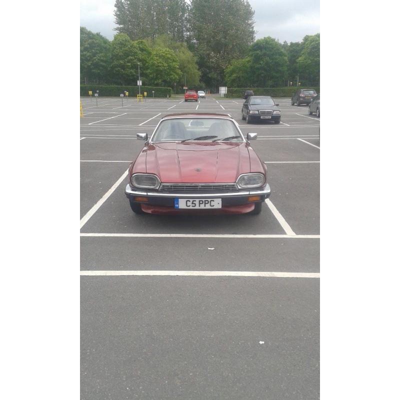 JAGUAR XJS 4.O Ltr very clean MOT new brakes calliper serviced stunning car