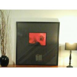 Black framed print poppy - john lewis