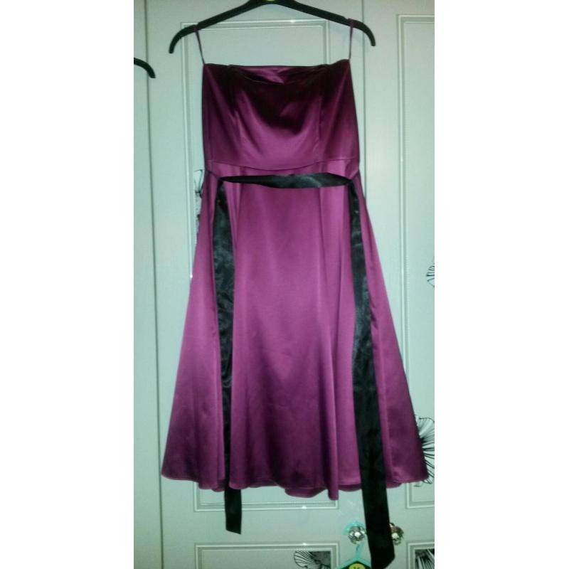 Ladies dress size 14 bnwt