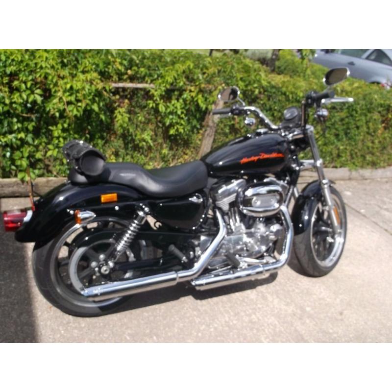 Harley Davidson Sportster 883 Low