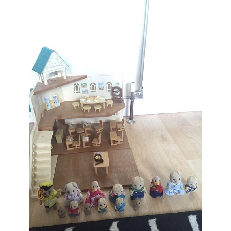 Sylvanian Families School and characters set