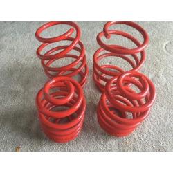 BMW e46 sport lowered red springs .