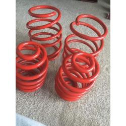 BMW e46 sport lowered red springs .