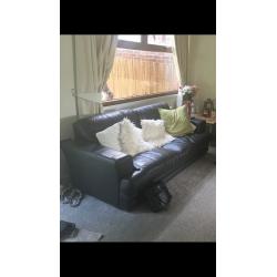 Dfs leather 3 seater and 2 seater