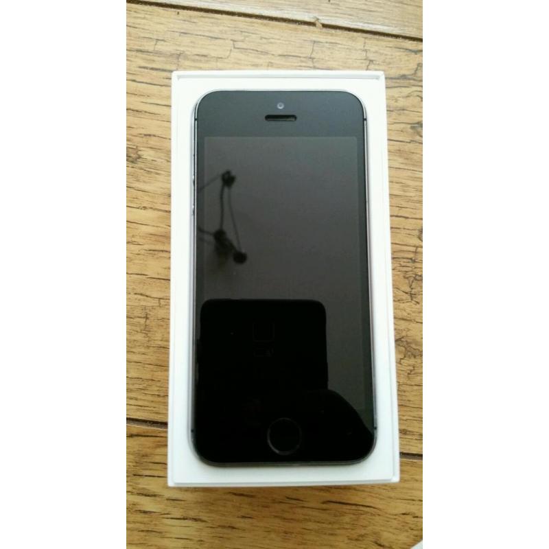 Iphone 5s 16gb Space Grey (Unlocked)