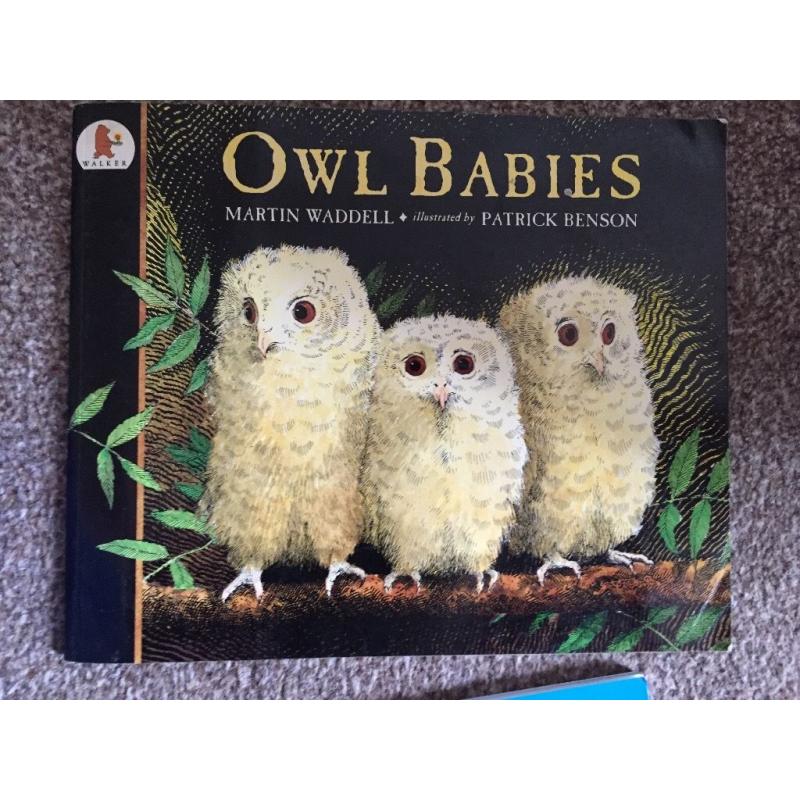 Owl Babies children's book