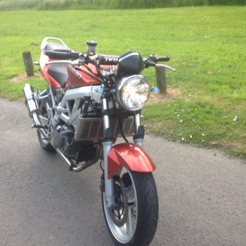 2004 sv650 like bandit hornet