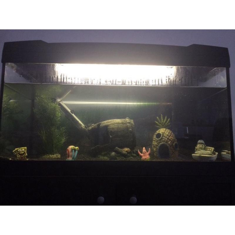 Fish Tank 50L and Cupboard Stand - Everything Included