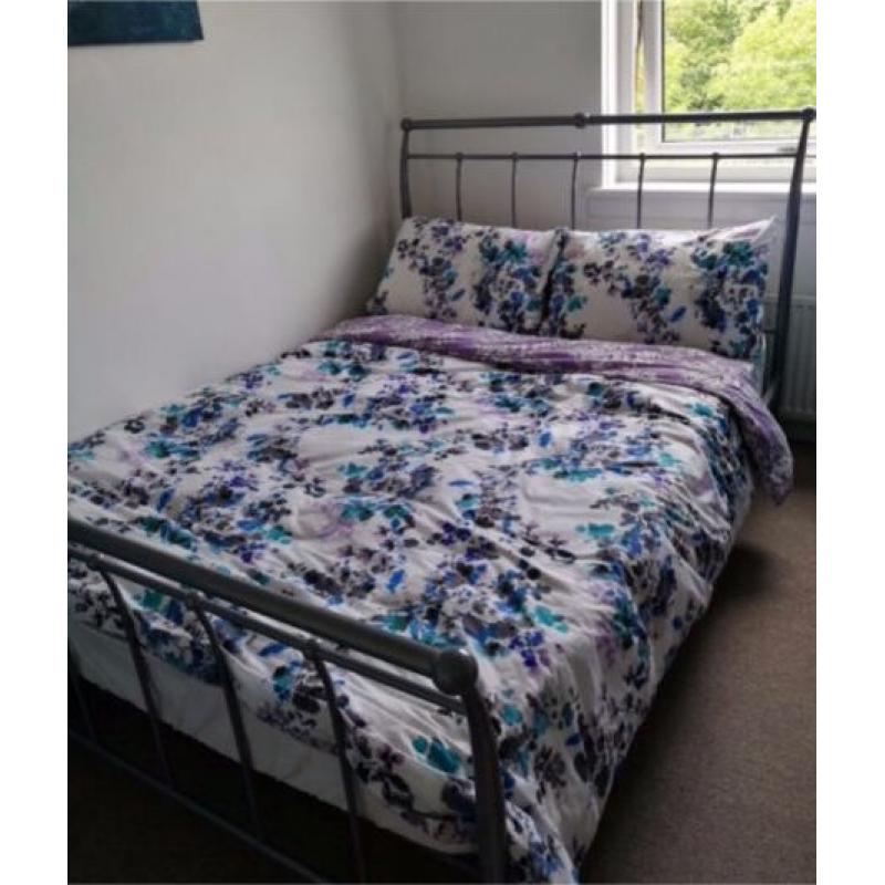 Silver metal double bed with msttress