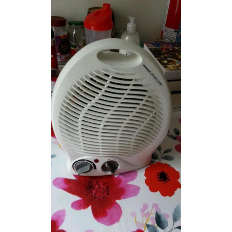 Electric fan heater