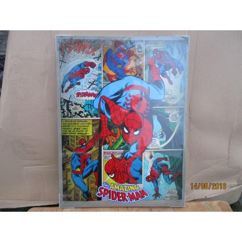 spiderman canvas