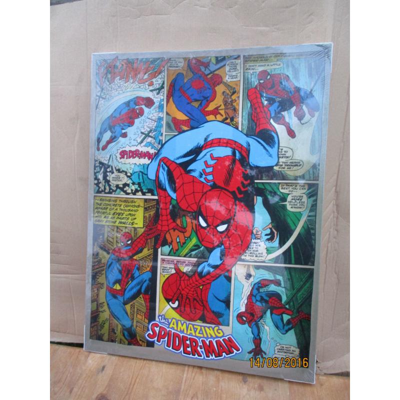 spiderman canvas