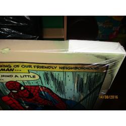 spiderman canvas