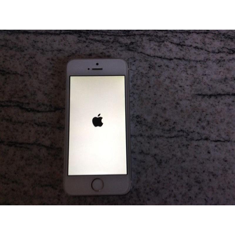 Apple iPhone 5s on EE MINT CONDITION