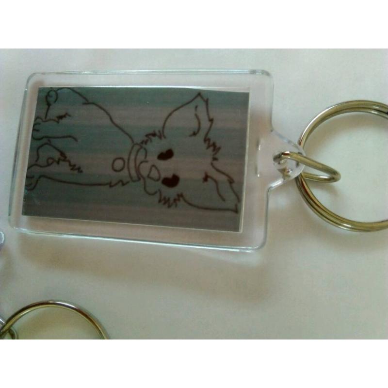 Drawing keyring