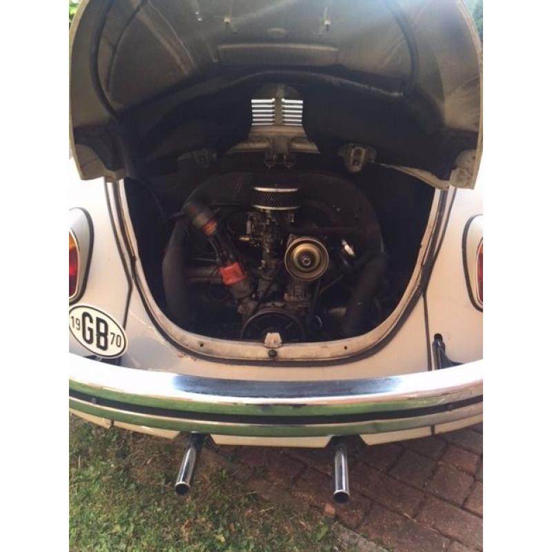 classic beetle for sale