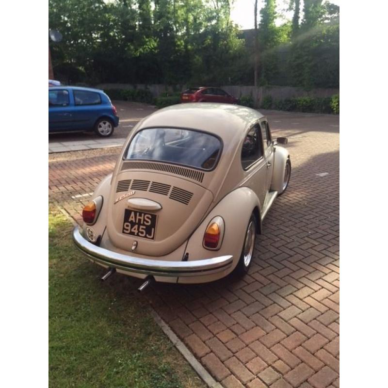 classic beetle for sale