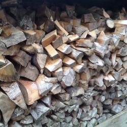 HARD WOOD LOGS FOR SALE