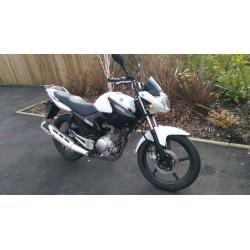 2015 Yamaha YBR 125 motorbike White/Black motorcycle