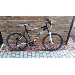 Focus Black Raider Mountain Bike