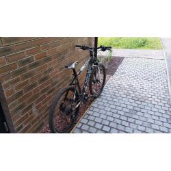 Focus Black Raider Mountain Bike