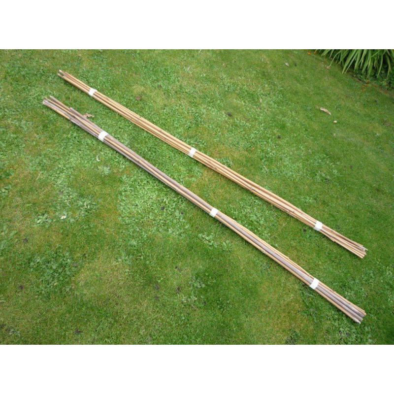 Bamboo canes